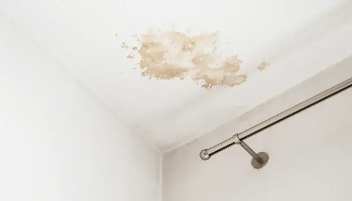 fuite de toiture à albi