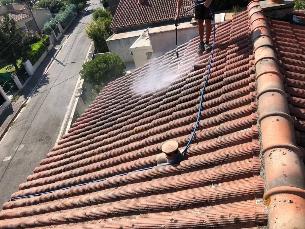 Nettoyage et démoussage de toiture à Castres